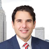 Vincenzo S. Lippiello Thumbnail 