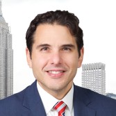 Vincenzo S. Lippiello